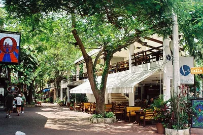 Playa del Carmen’s 5th Avenue: TOP Must-Do Activities