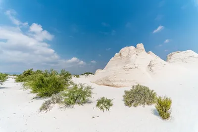 Journey to Cuatro Cienegas: Mexico’s Enchanted Wilderness