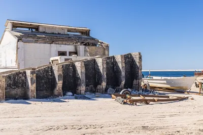 Guerrero Negro, Baja California: Whale-Watching and Salt Flats