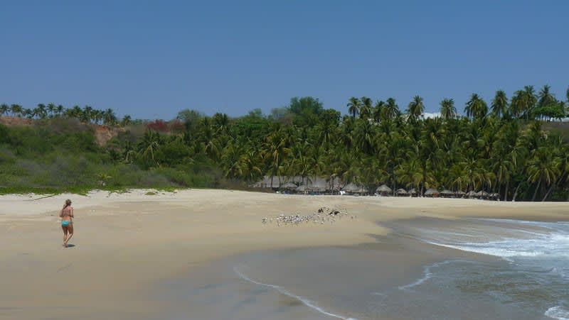 best beaches in oaxaca