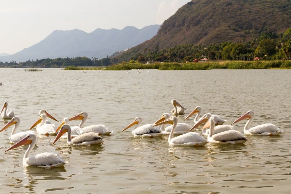 lake chapala
