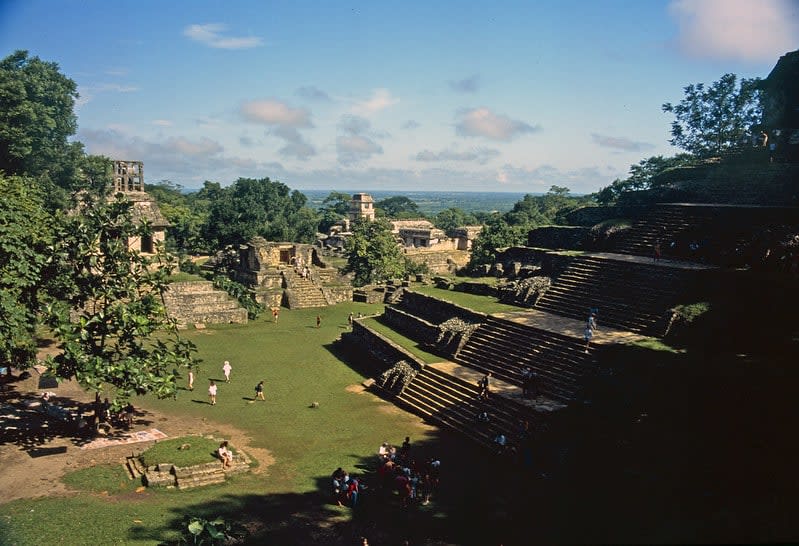 maya train
