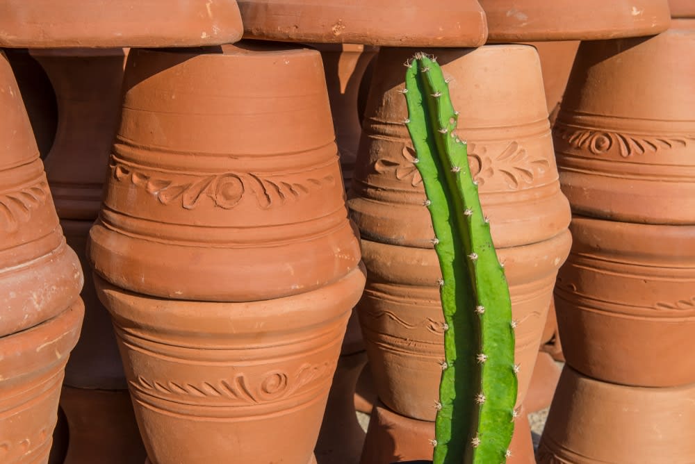 tecate mexico