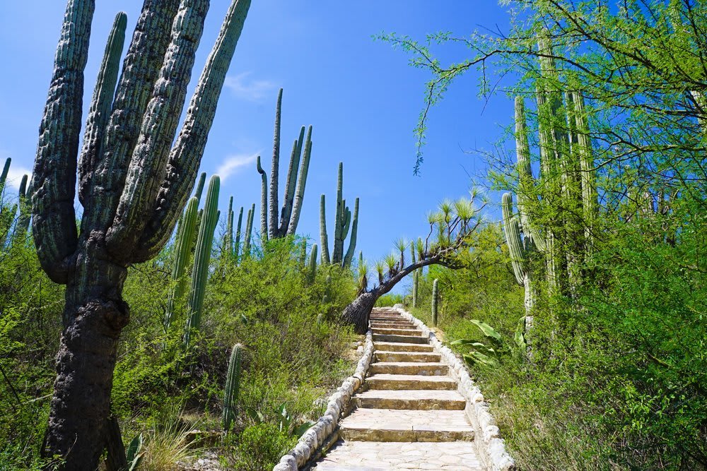 tehuacan puebla