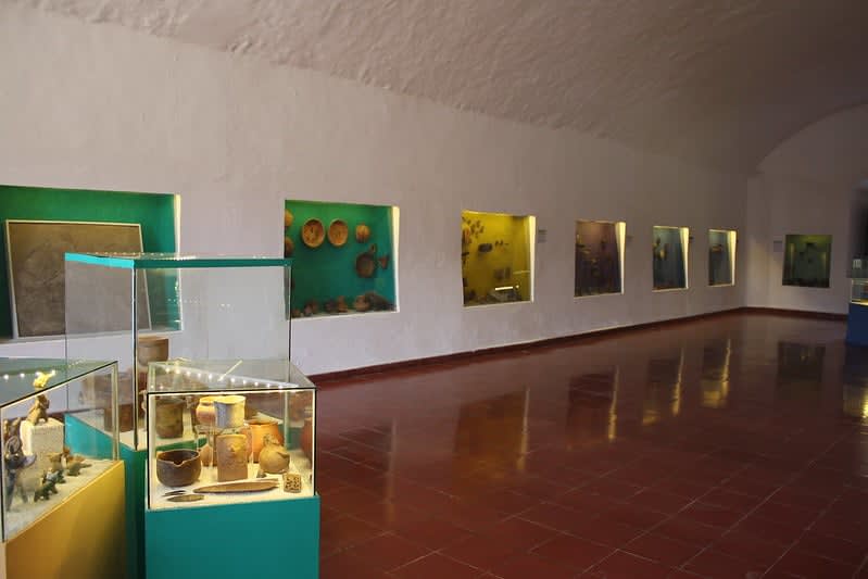 tepoztlan museum pellicer