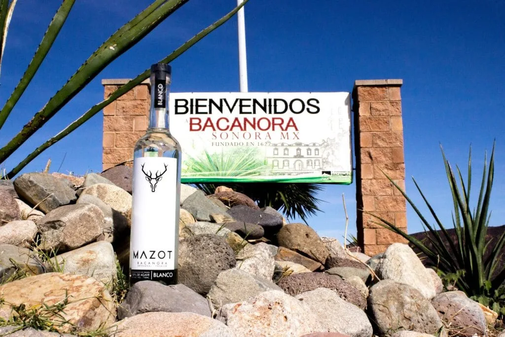 bacanora