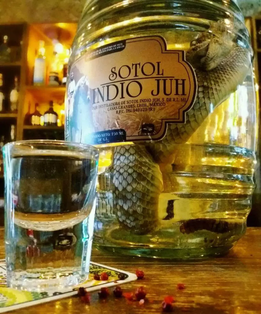 sotol