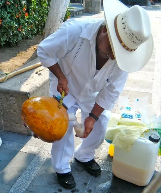tuba drink