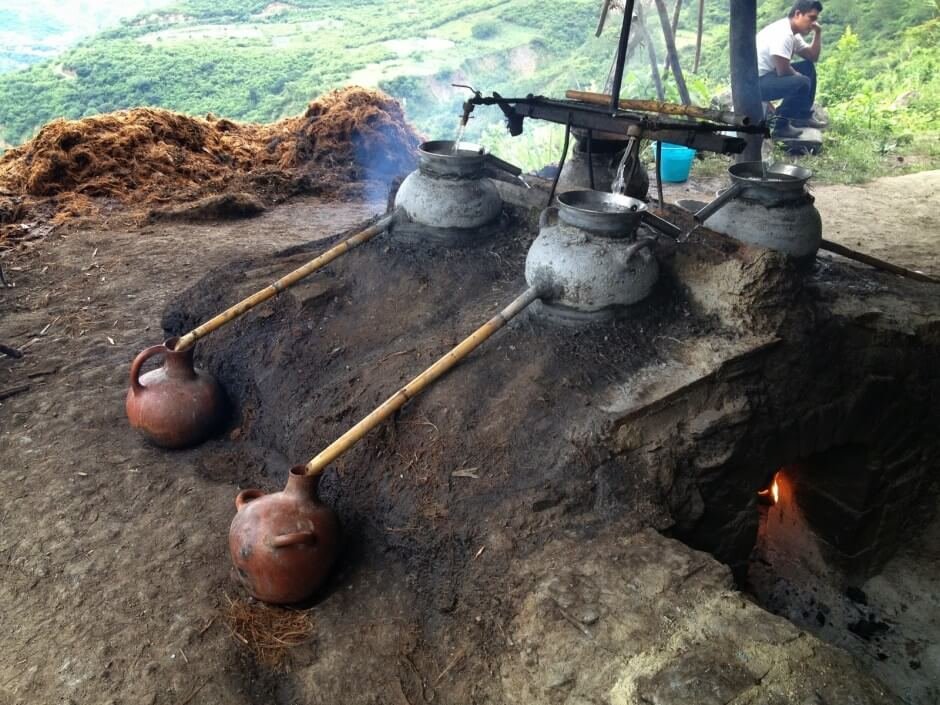 pechuga mezcal