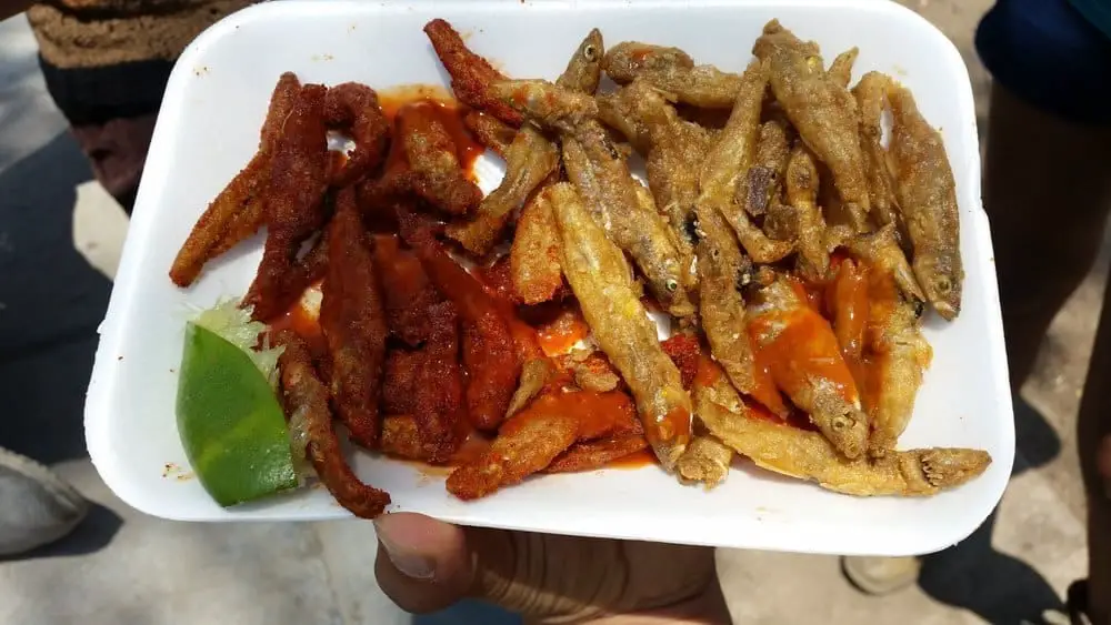charales fish