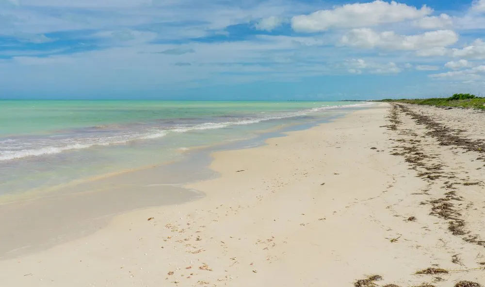 el cuyo yucatan