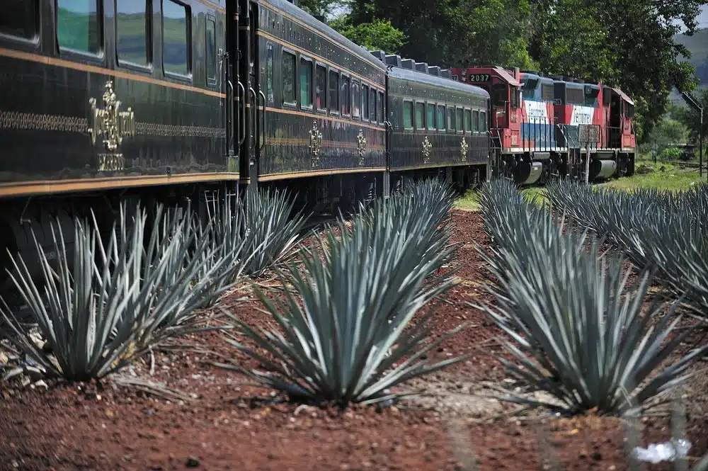 guadalajara jalisco