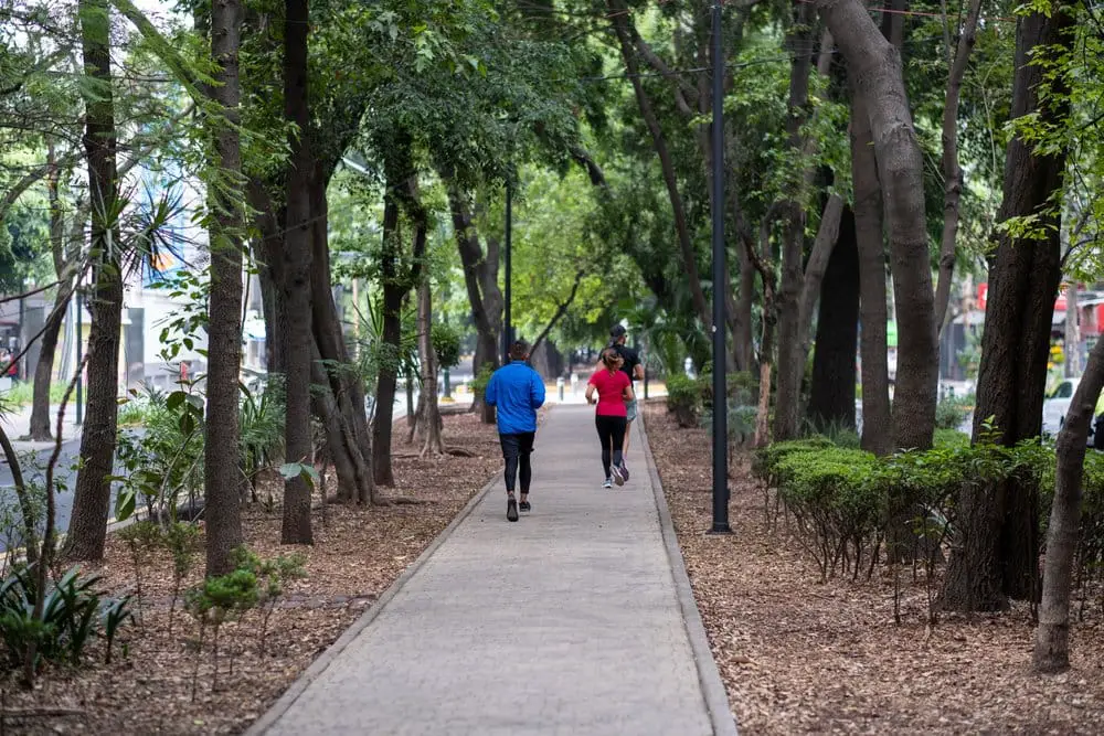 la condesa mexico city
