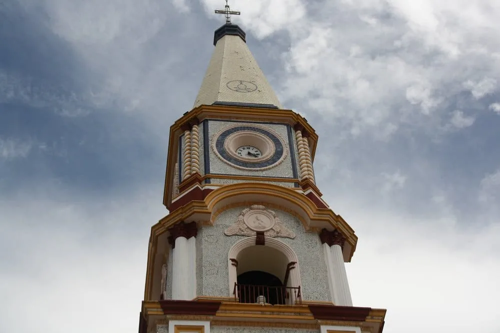 mascota jalisco