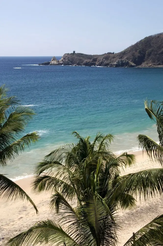 mazunte oaxaca
