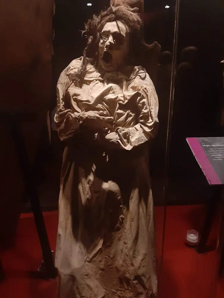 mummies guanajuato