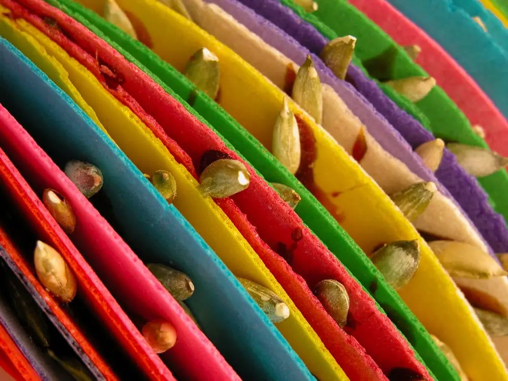 mexican candies