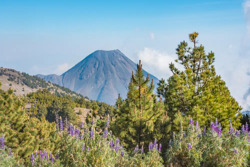 colima mexico