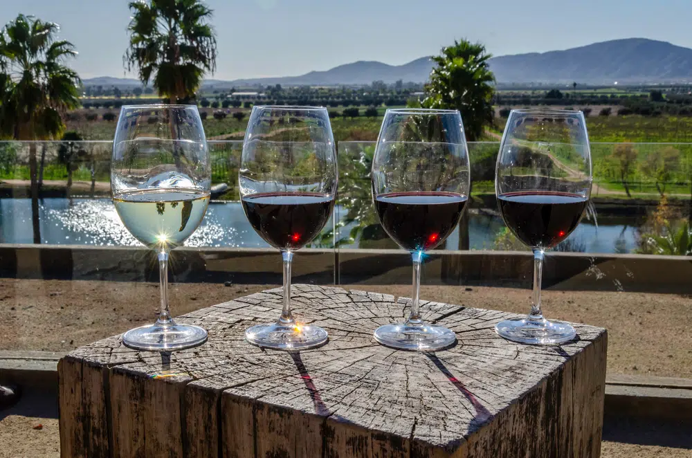 valle de guadalupe