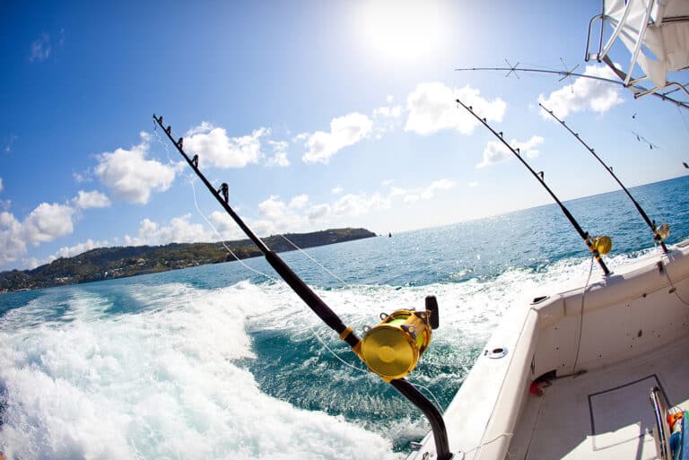 fishing in mexico travel