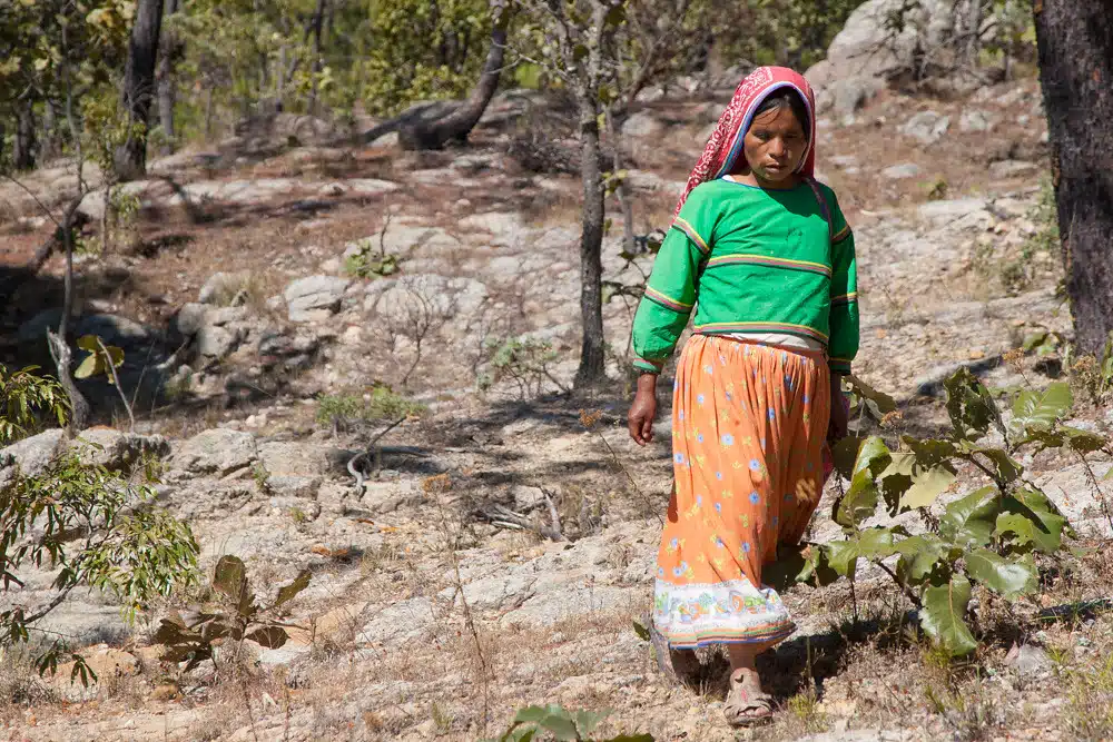 indigenous groups in mexico