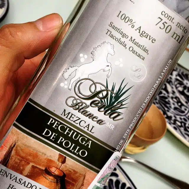 how to drink mezcal