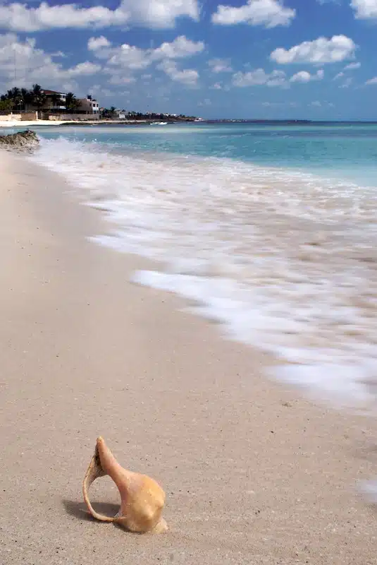 puerto morelos