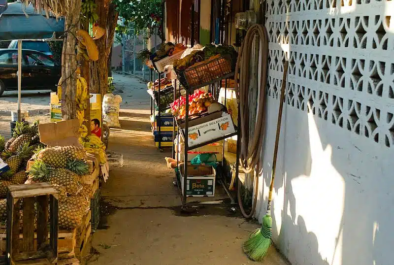 san pancho mexico