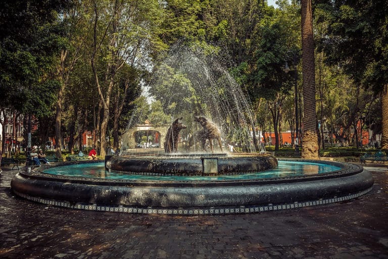 coyoacan mexico city