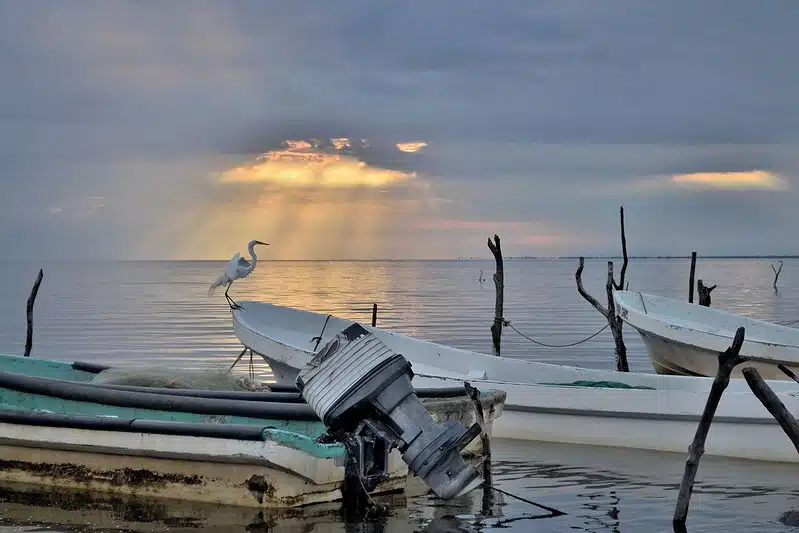 chiapas beaches