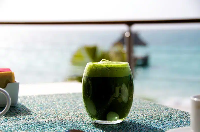 chaya water
