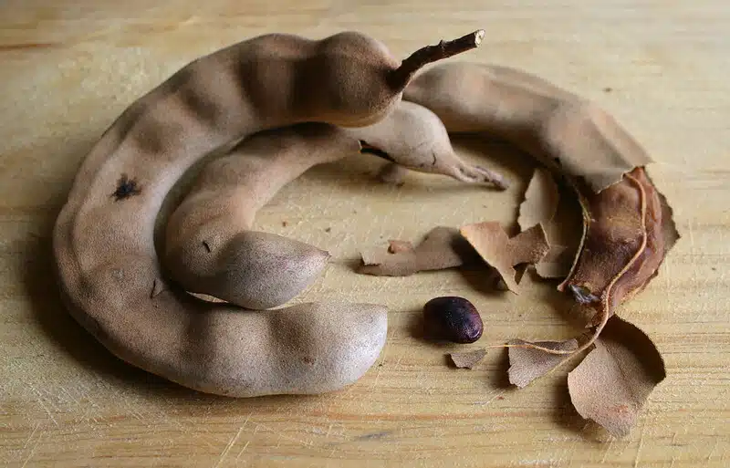 tamarind