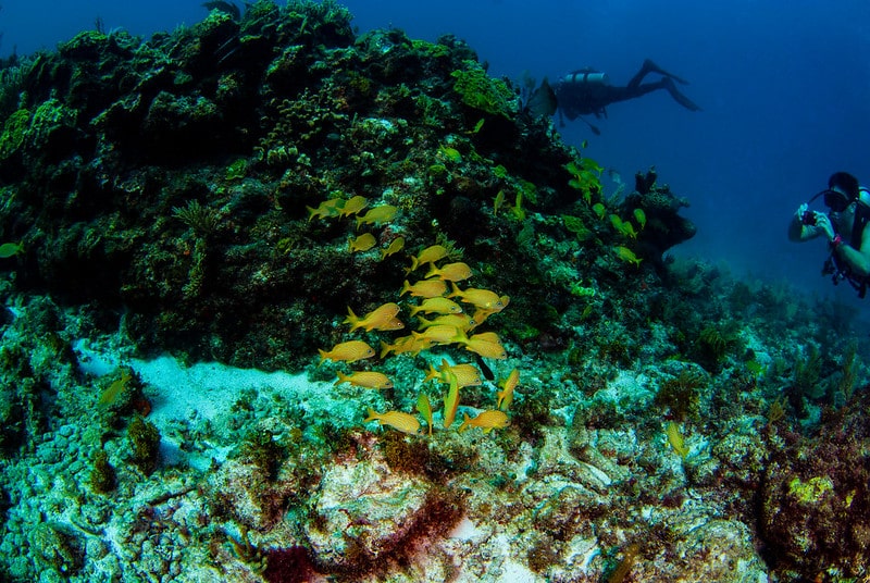 punta nizuc reefs