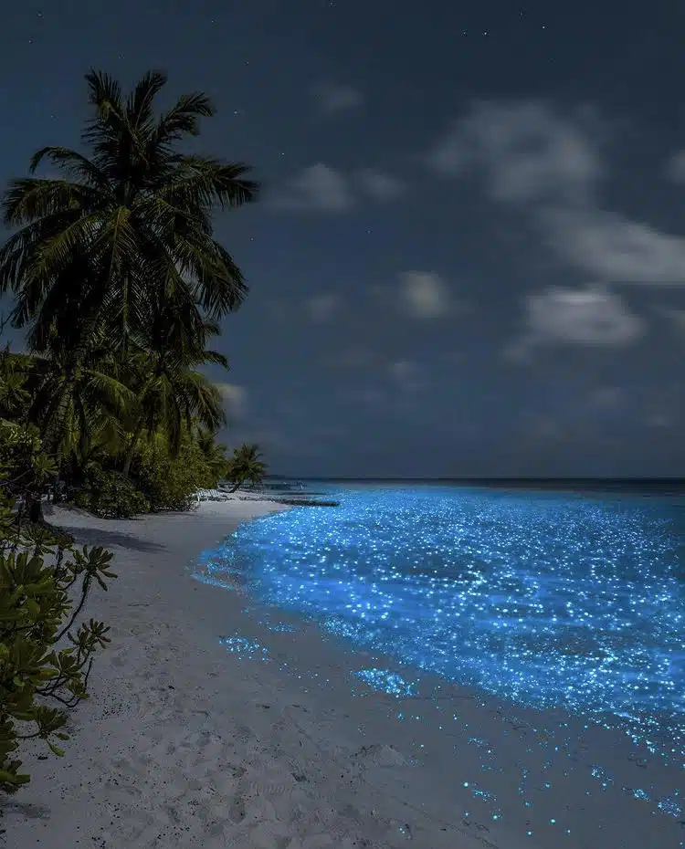 holbox beaches