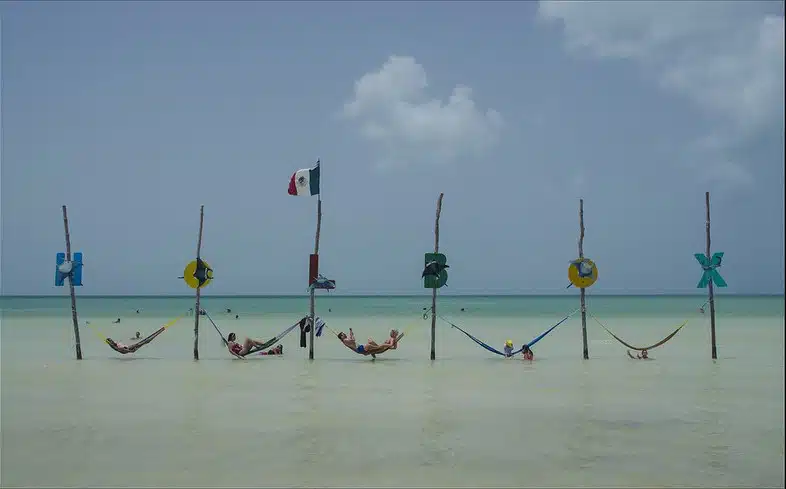 hammocks