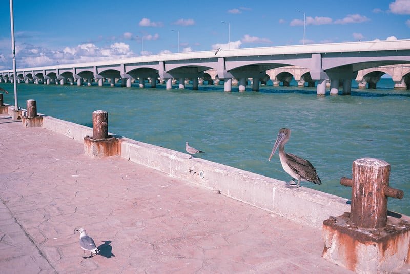 progreso yucatan beach mexico