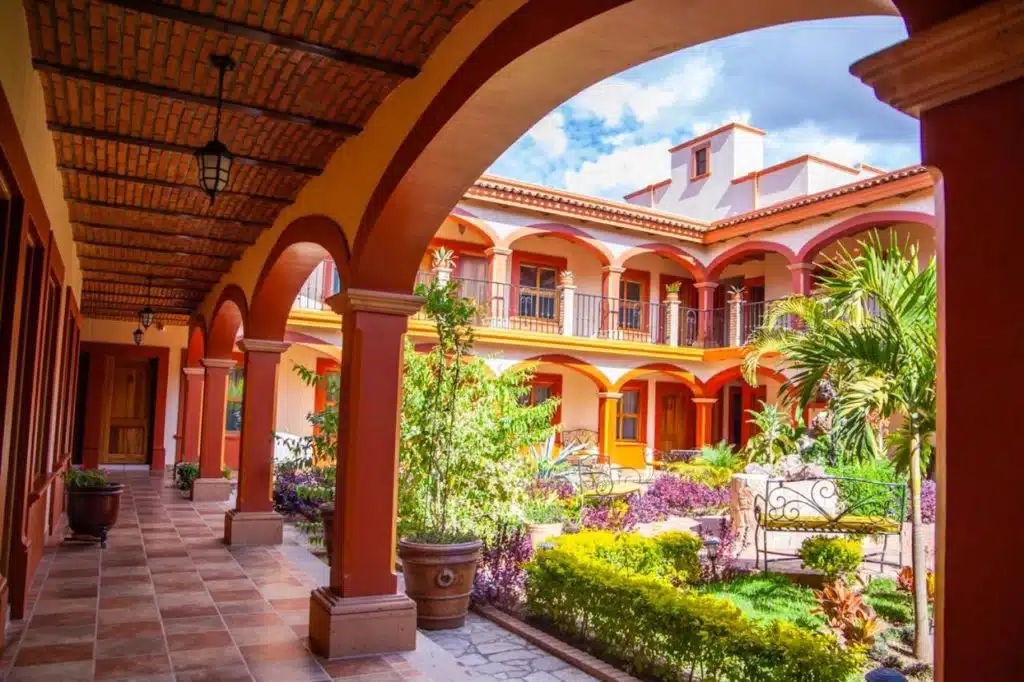 mascota jalisco