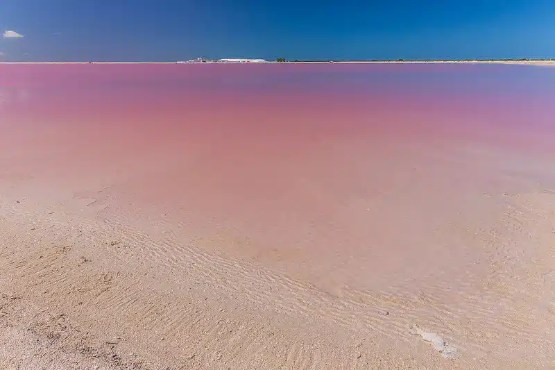 el cuyo yucatan
