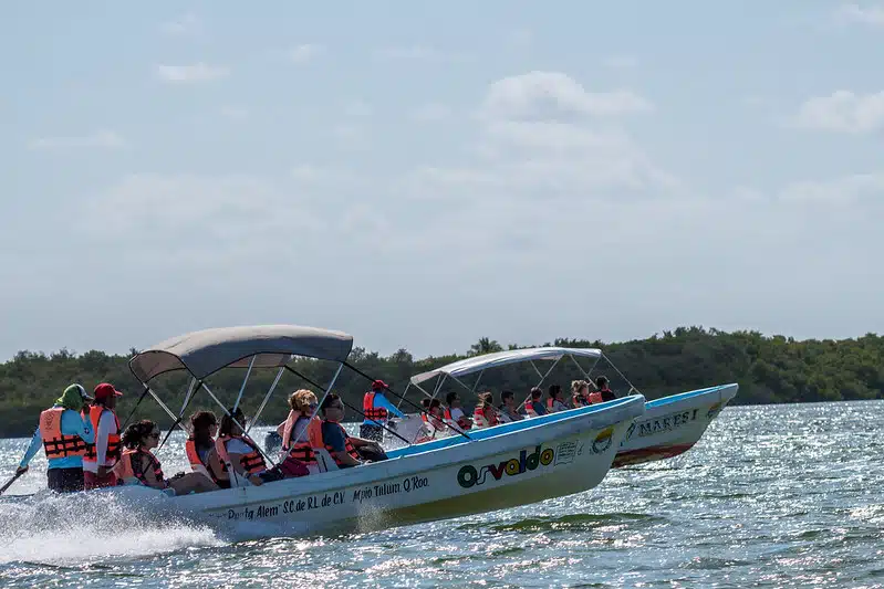 punta allen