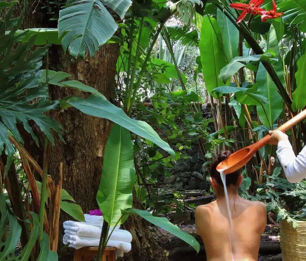 amomoxtli tepoztlan