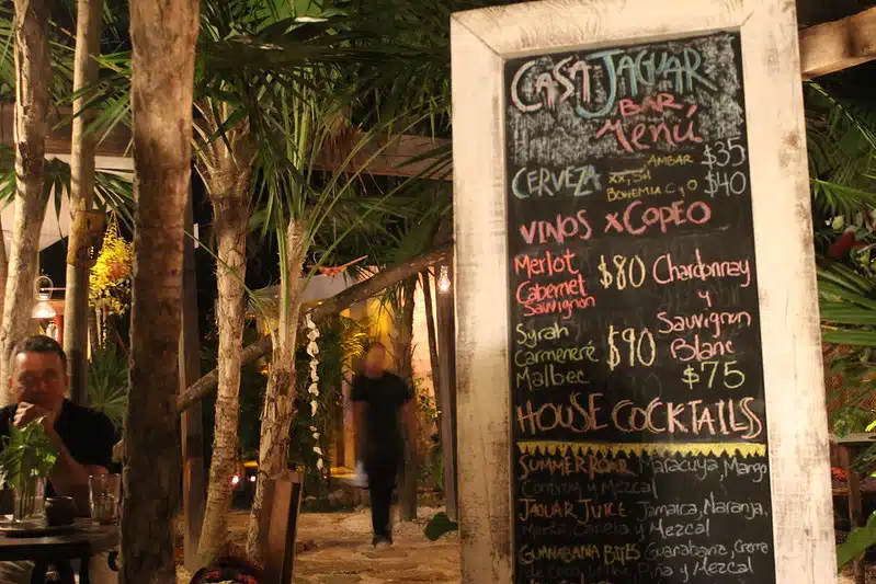 casa jaguar