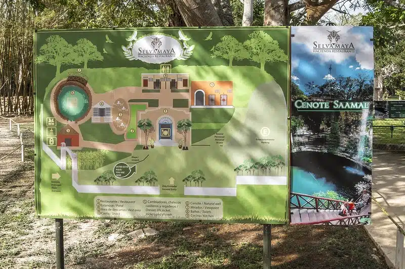 cenote saamal yucatan
