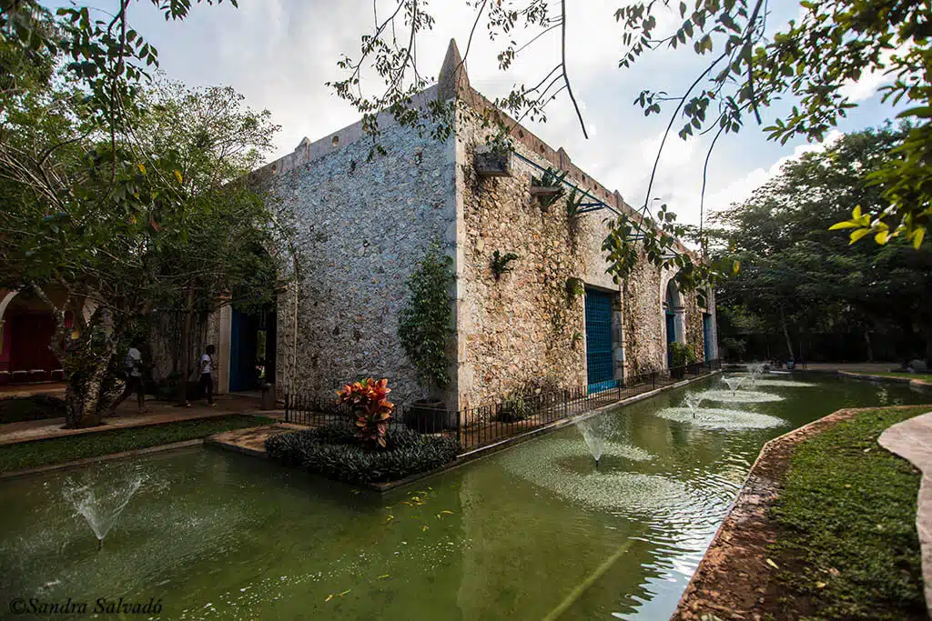 cenote saamal yucatan