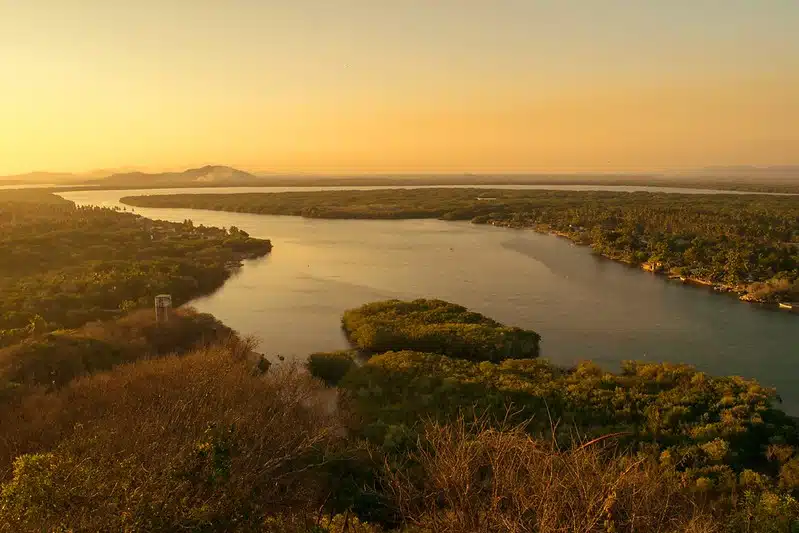 chacahua lagoon