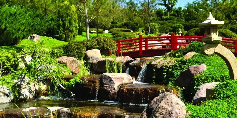 jardines de mexico