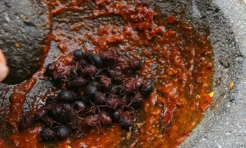 oaxacan food