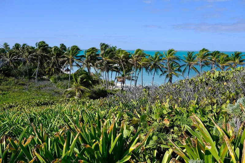 isla contoy