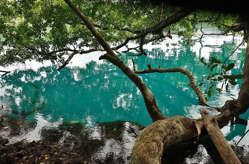 valladolid cenotes