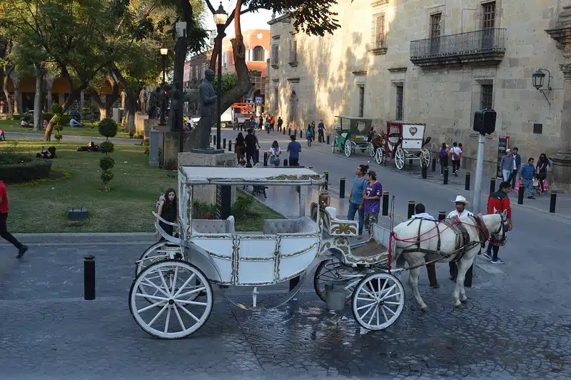 downtown-guadalajara