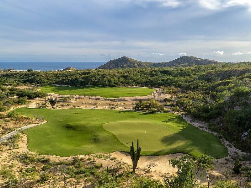 twin dolphin los cabos golf